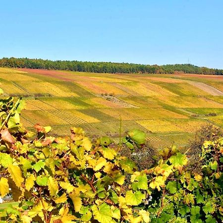 Ferienwohnungen Etzl Bad Mergentheim Εξωτερικό φωτογραφία